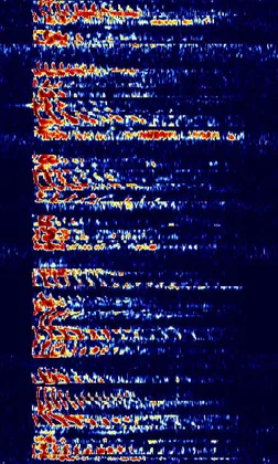 Waterfall capture of single-sideband voice: a ragged textured band a few kilohertz wide with no central carrier line.